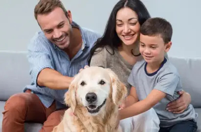 Fotografía decorativa para seguro de mascotas en el hogar